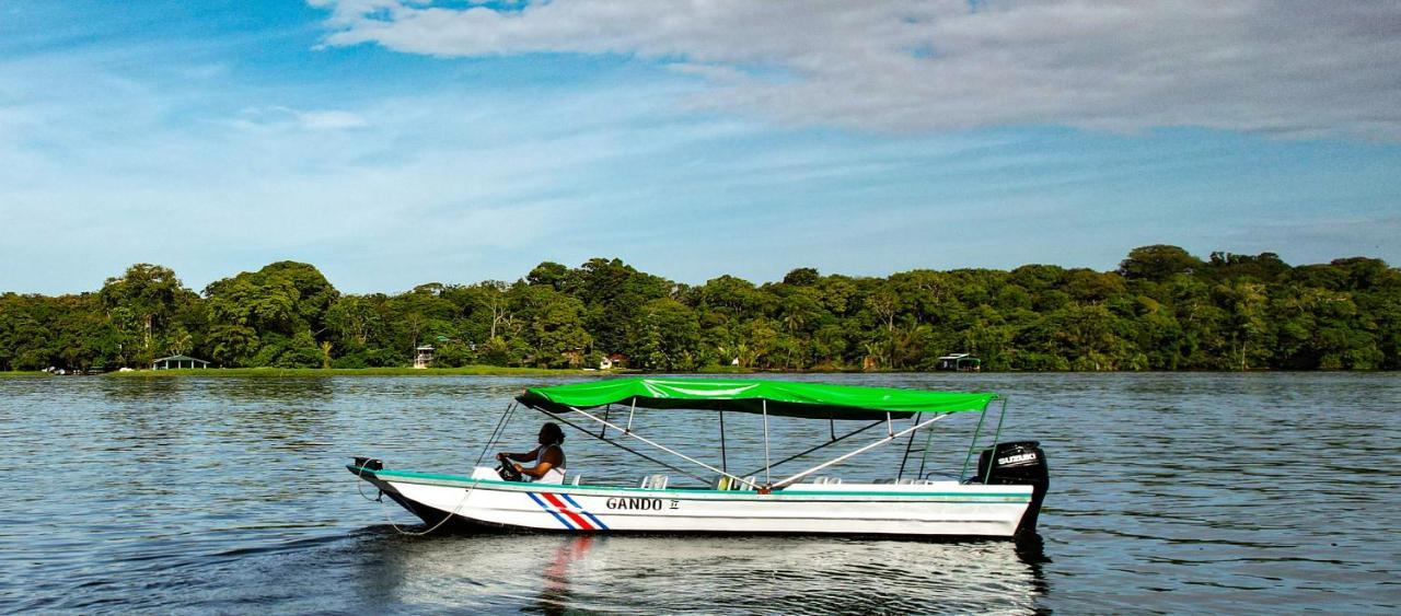 Apartament Departamento 7 Tortuguero Zewnętrze zdjęcie