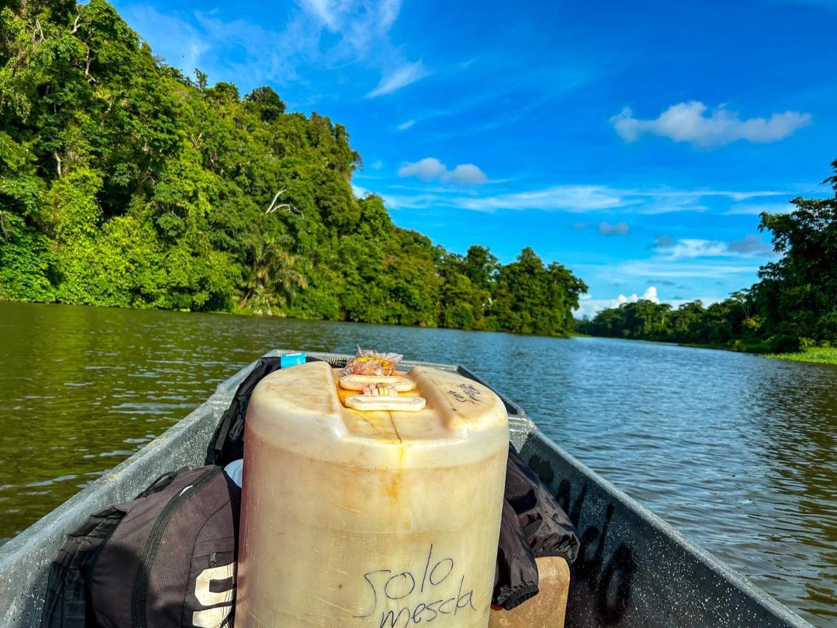Apartament Departamento 7 Tortuguero Zewnętrze zdjęcie
