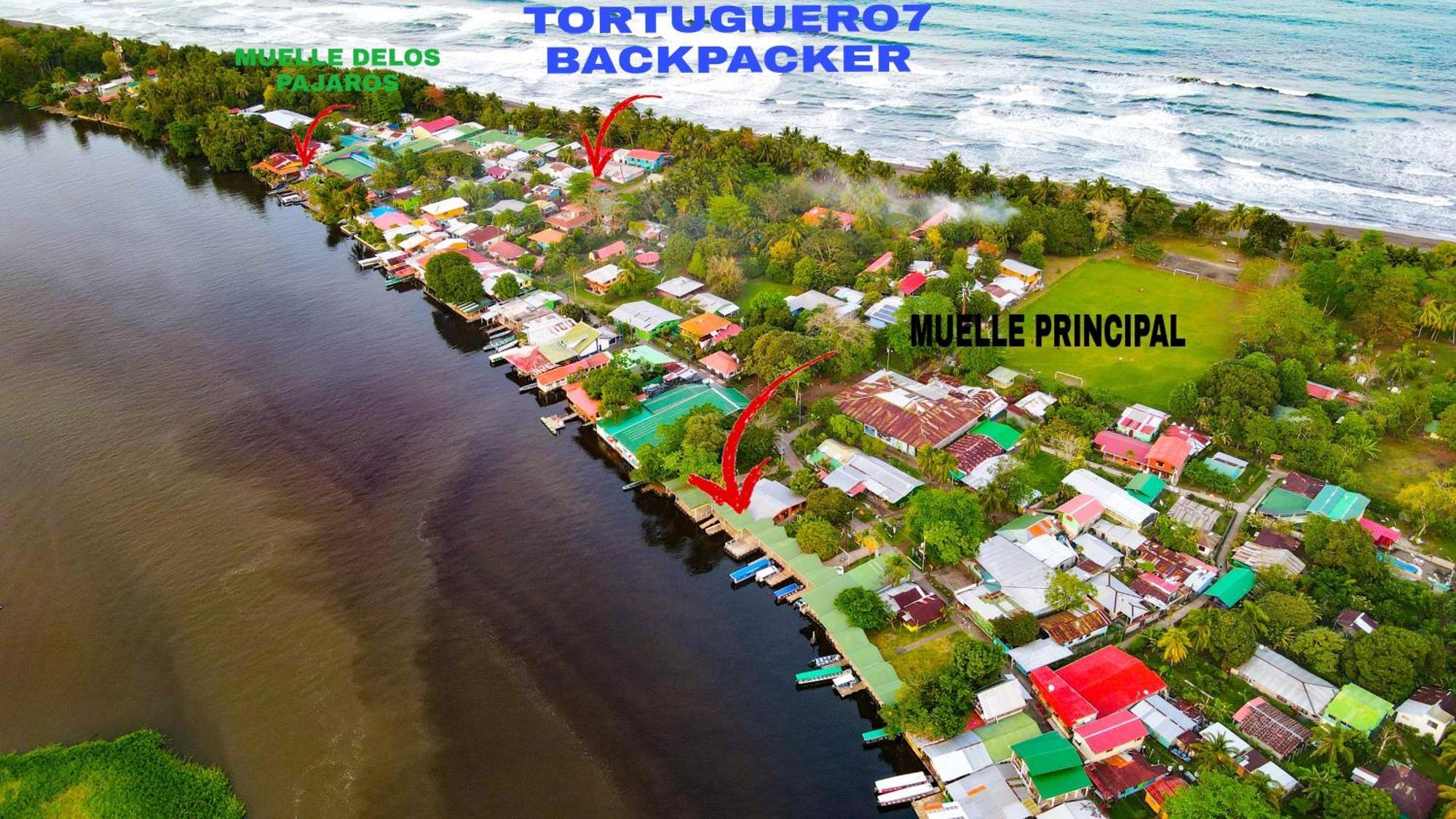 Apartament Departamento 7 Tortuguero Zewnętrze zdjęcie